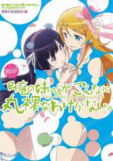 俺の妹がこんなに可愛いわけがない。アニメ公式ガイドブック
